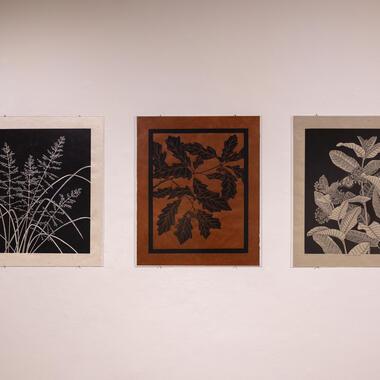 seeing plants exhibition documentation 
