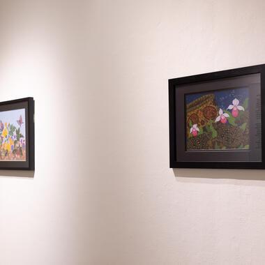 seeing plants exhibition documentation 