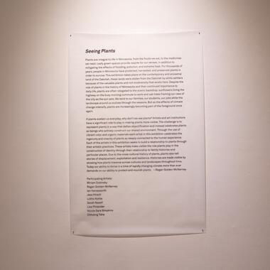 seeing plants exhibition documentation 