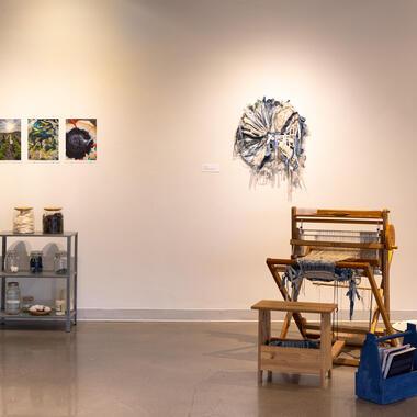 seeing plants exhibition documentation 