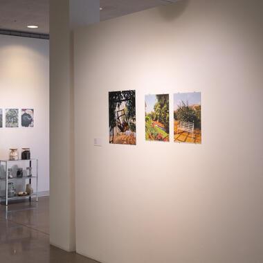 seeing plants exhibition documentation 
