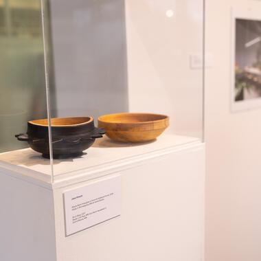 seeing plants exhibition documentation 