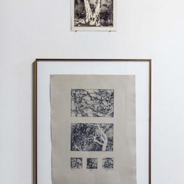 (Re) Encountered: Works from the MCAD Collection Documentation