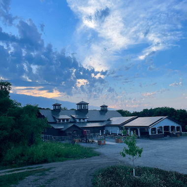 Sunset over Art In Motion and the BoHo Cafe, with a road in leading to the building in the foreground and greenery all around