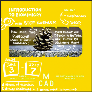 biomimicry comic