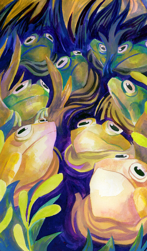 A frog choir illustration ; Natalie Vilter