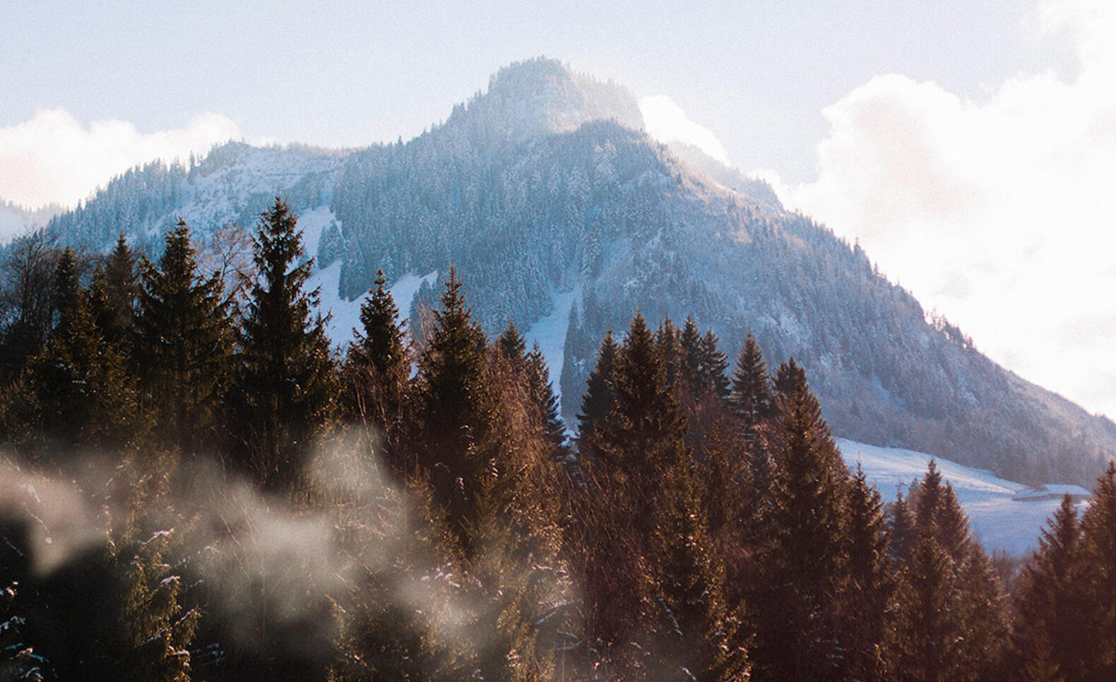 Mountain and forest landscape in Austria