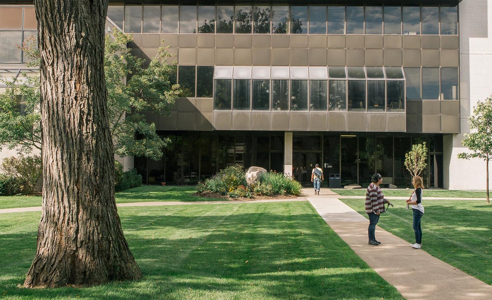 MCAD Lawn, Fall