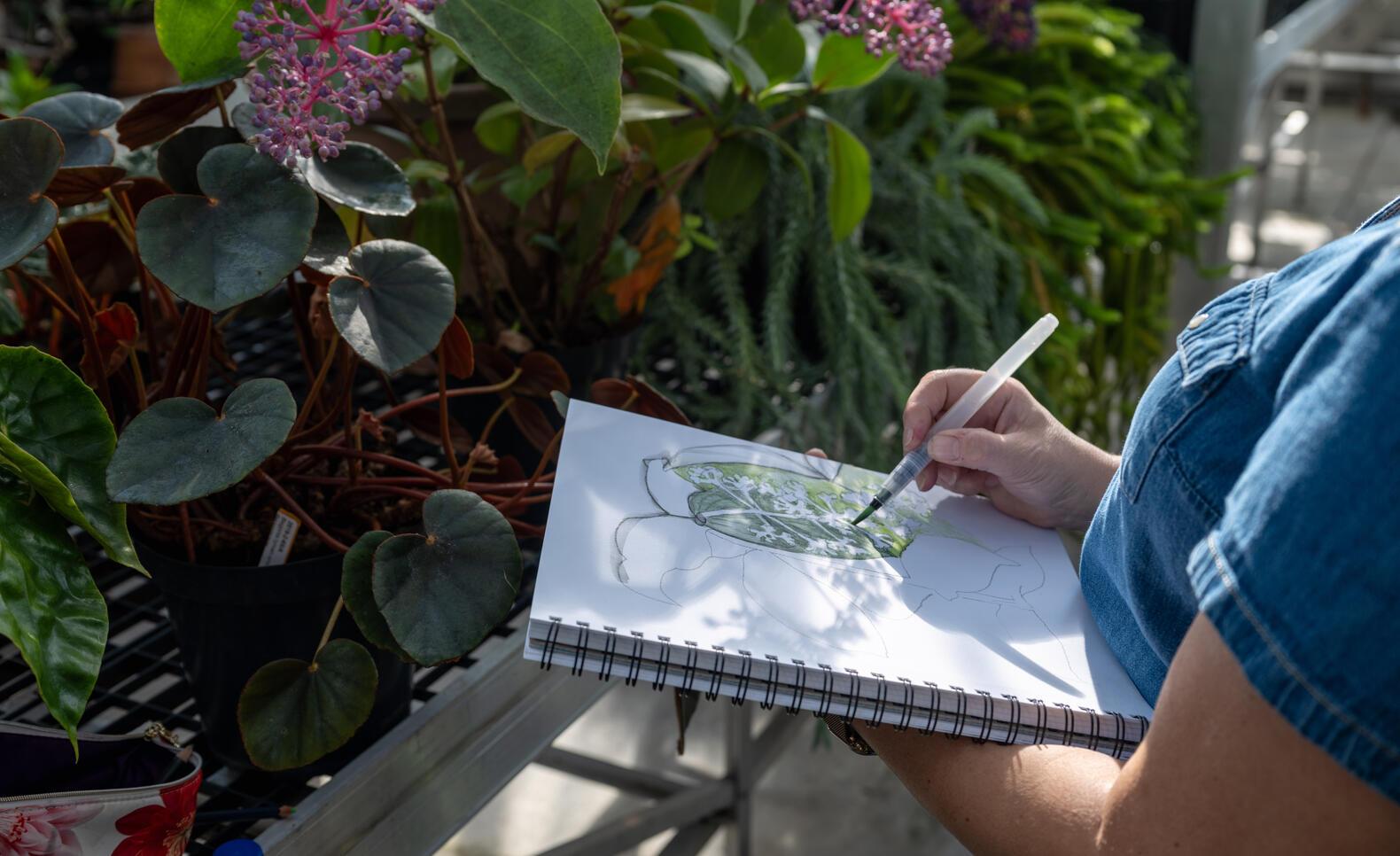 CE Exploring Botanicals with Drawing and Mixed Media