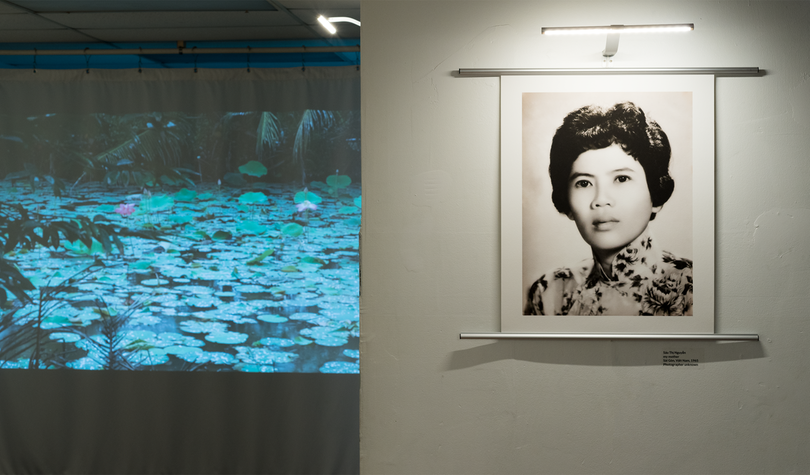 Đi thì không có đường về – Leave, then there is no way home. Sáu Thị Nguyễn, 1965. Footage of rain falling on lotus in a bomb crater pond, in her home village, 2018. (Installation View Photo by Constance Mensh for Asian Arts Initiative) ; Boone Nguyen