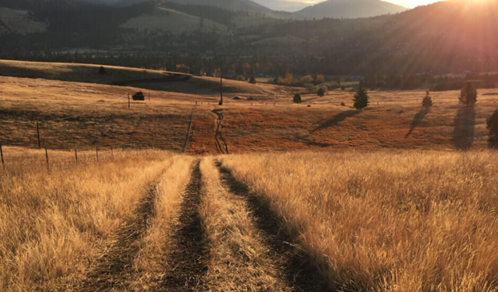 Photograph of a landscape at sunset