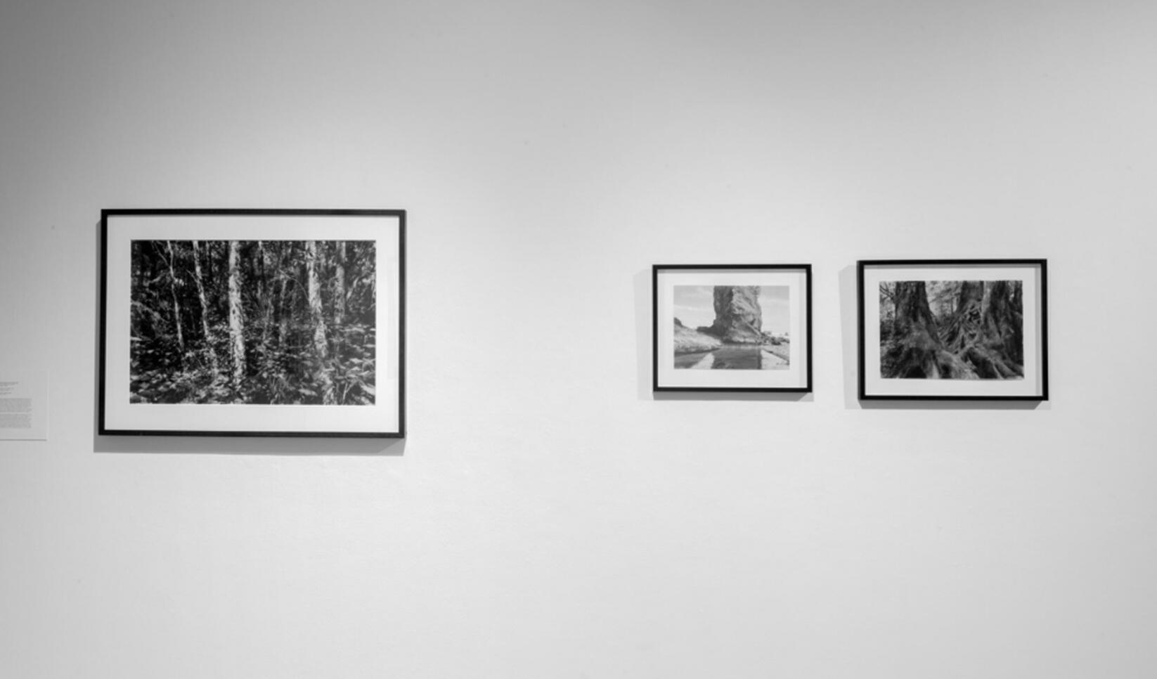 Three pencil drawings framed on the wall ; Michael Kareken