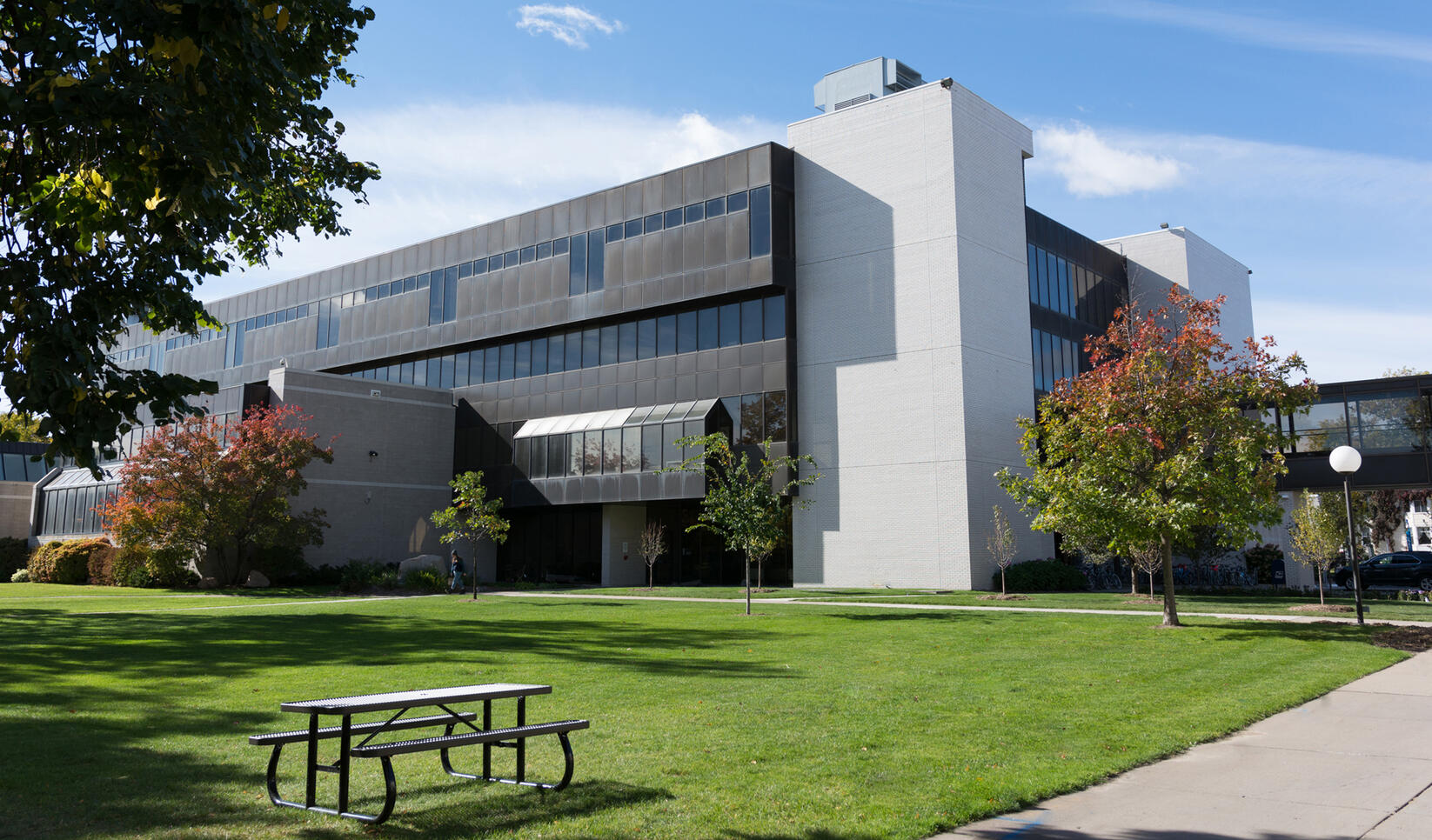 MCAD lawn in the fall