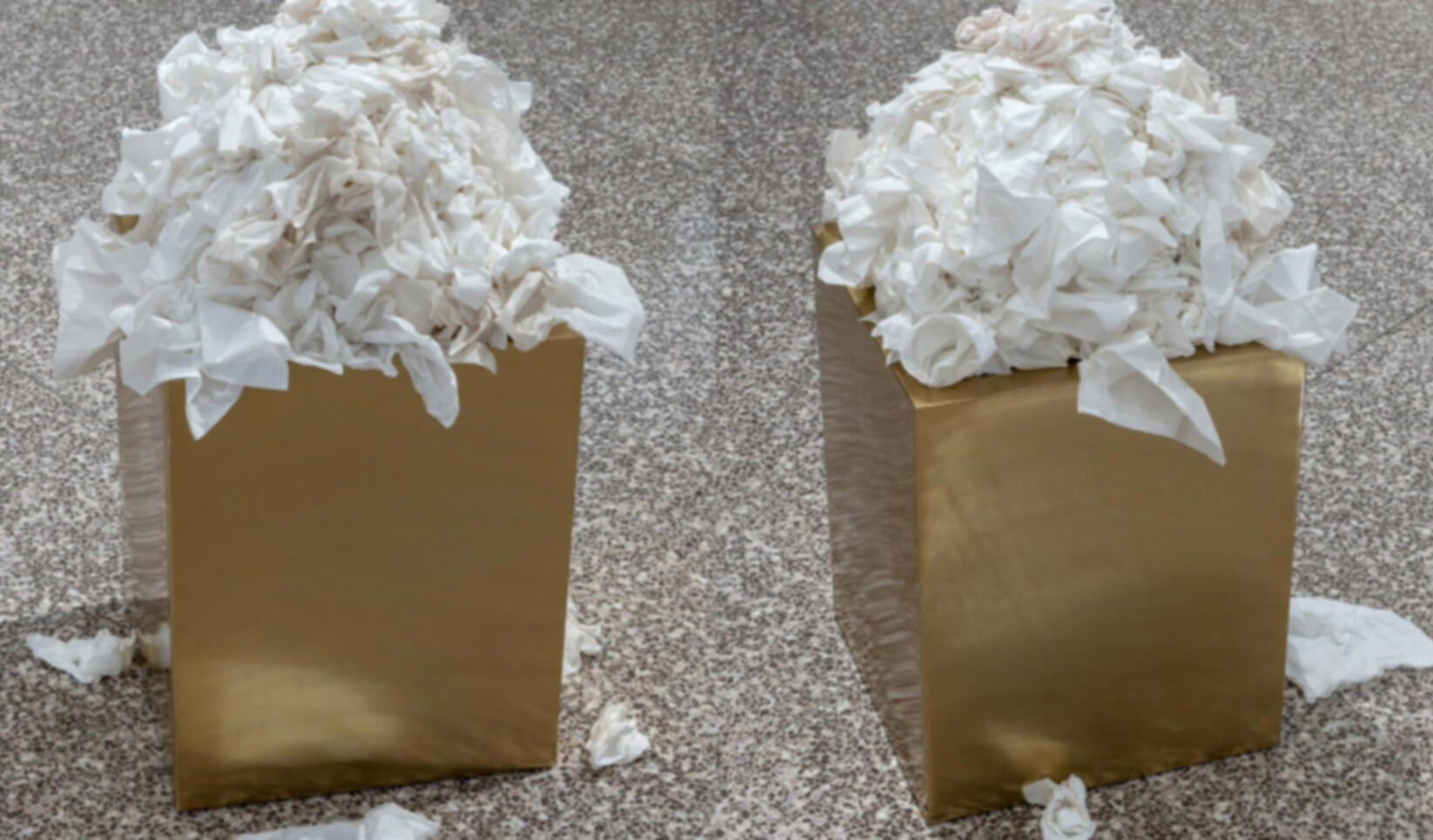 Golden pedestal covered in used tissues ; Emmett Ramstad