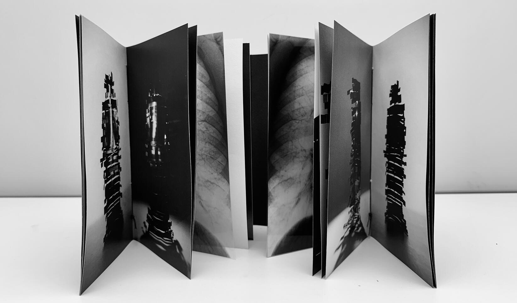 Merit Scholarship Recipient Daniel Acevedo ; Daniel Acevedo