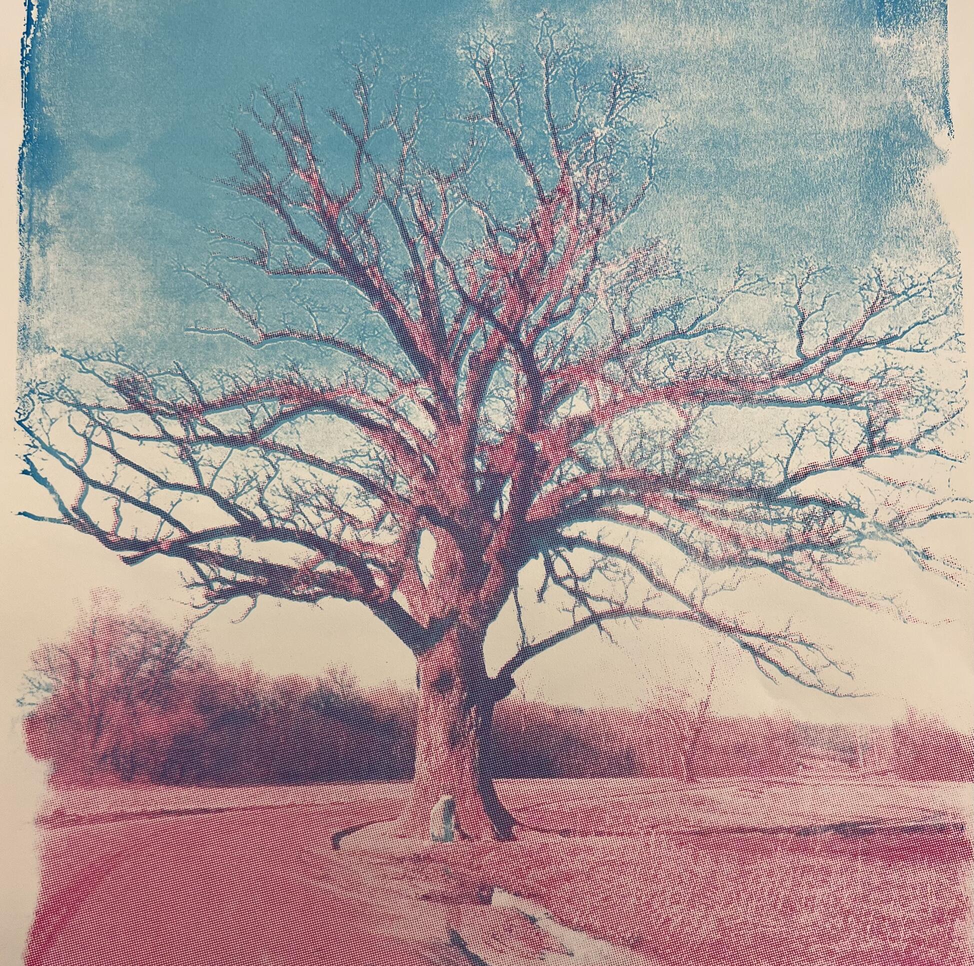 Artwork by Elise Simmons ; Elise Simmons