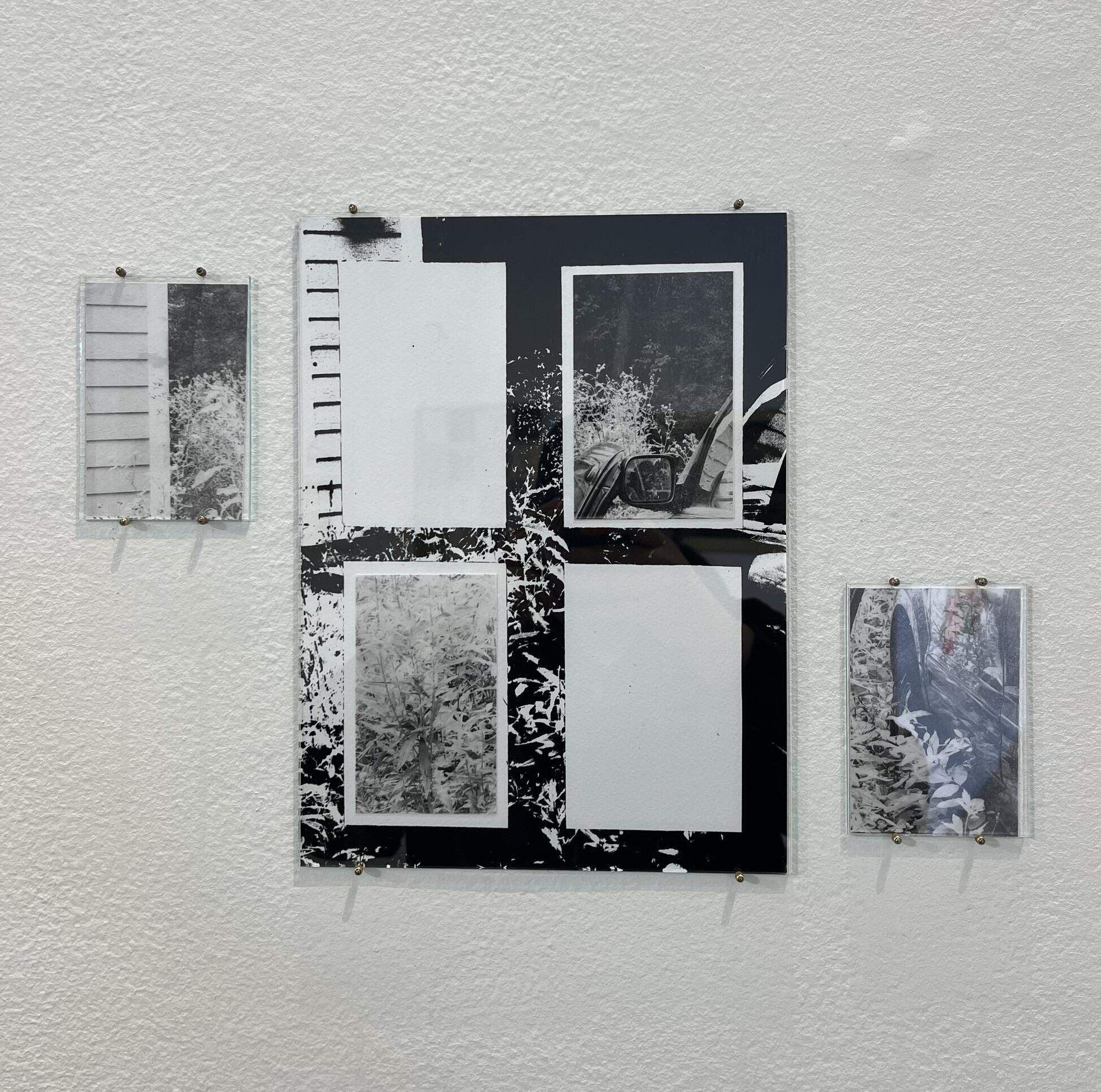 Sofia Vasquez merit scholarship recipient ; Sofia Vasquez