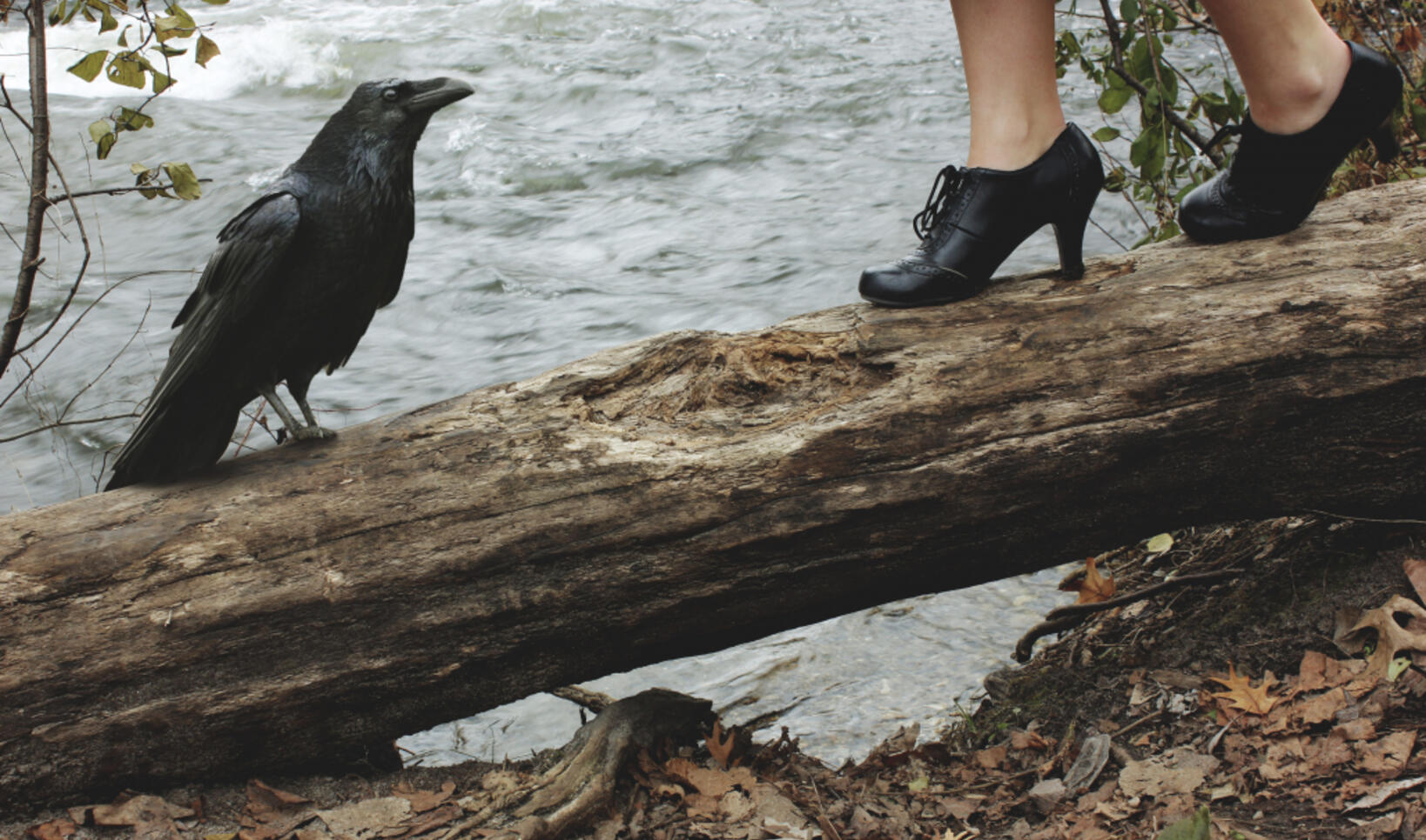 "Friend & Omen" by Shelby Haseman ; "Friend & Omen" by Arlo Haseman