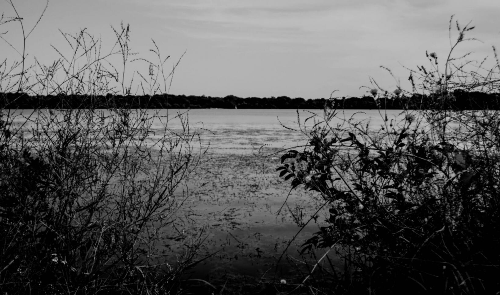 Photograph of Lake Harriet by Dan Nolin ; Photograph of Lake Harriet by Dan Nolin