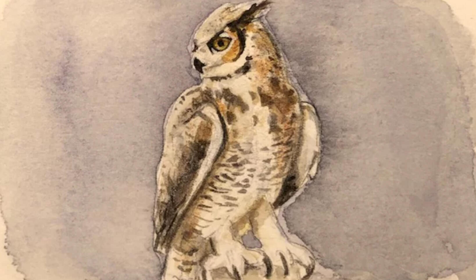 Great horned owl by Susan Hagen, watercolor ; Susan Hagen