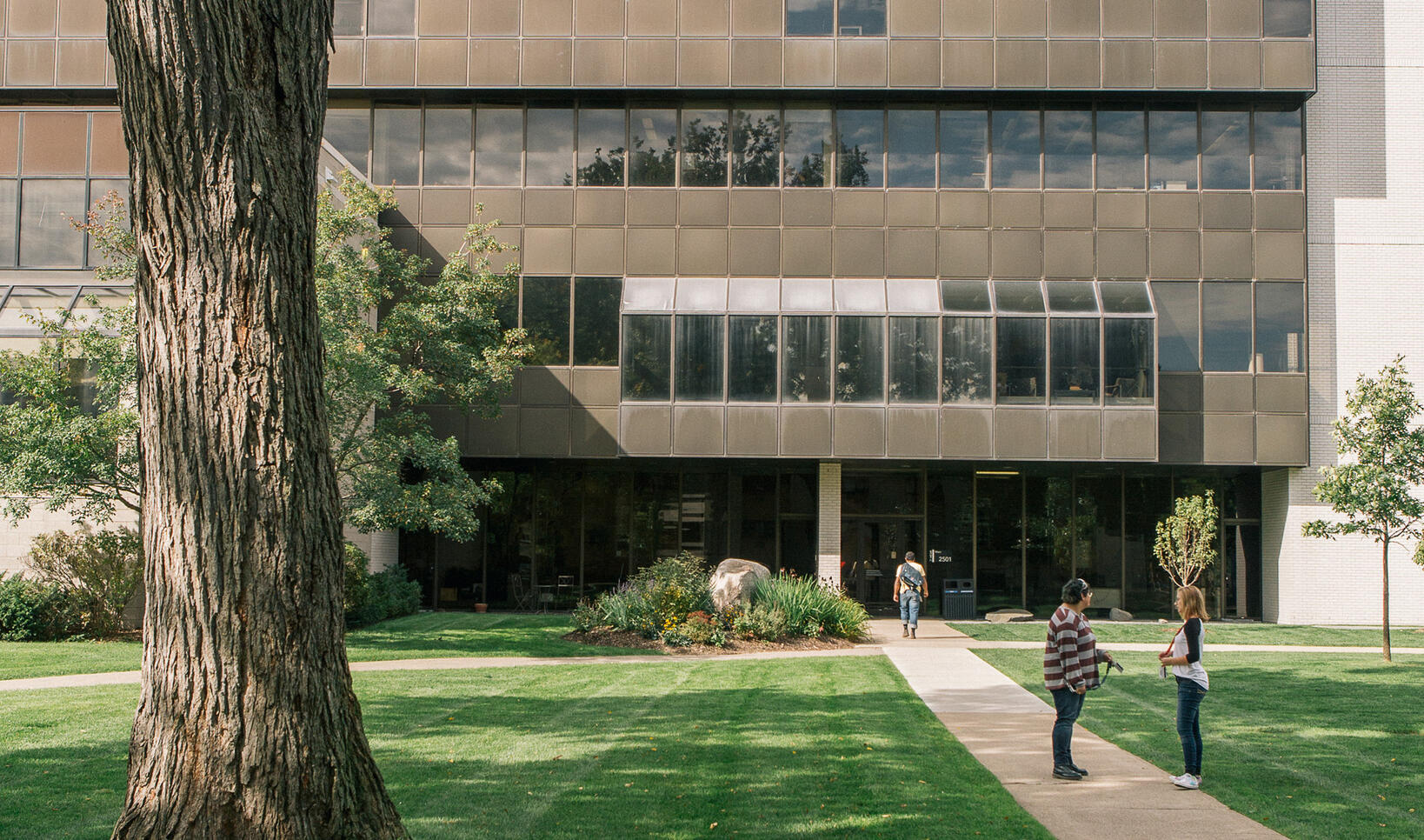 MCAD lawn in the summer