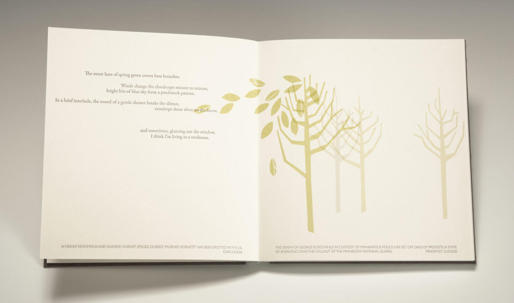 Illustration inside of a book of a tree ; Cathy Ryan