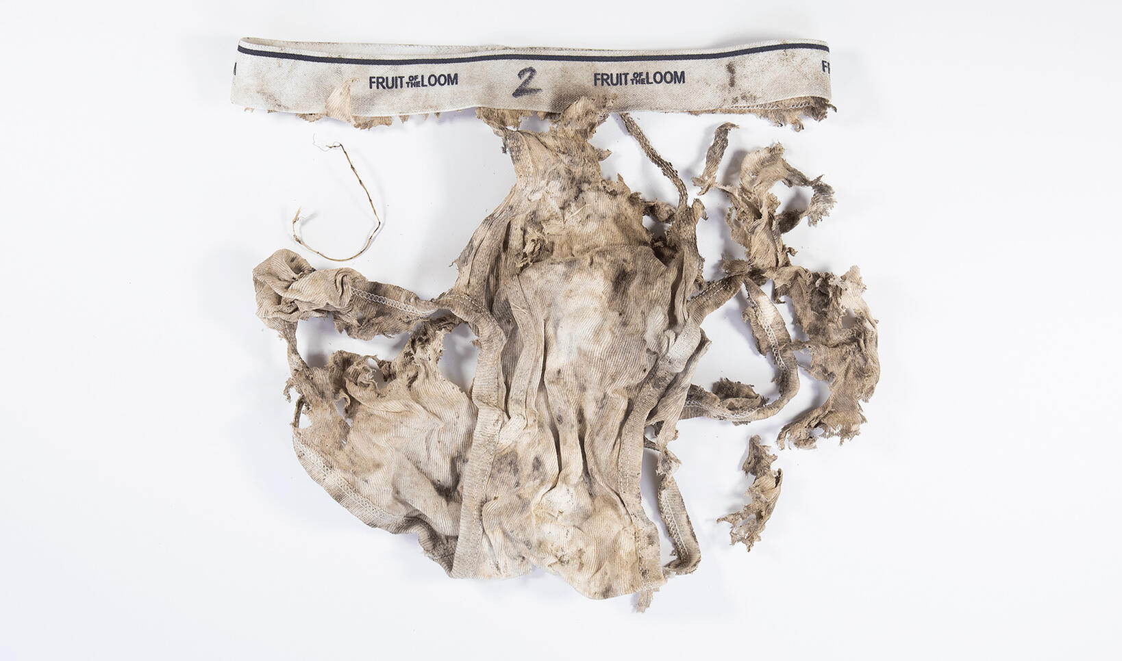 Underpants #2, 2020. Bacteria and fungal diversity tested on-site through brief burial ; Gudrun Lock
