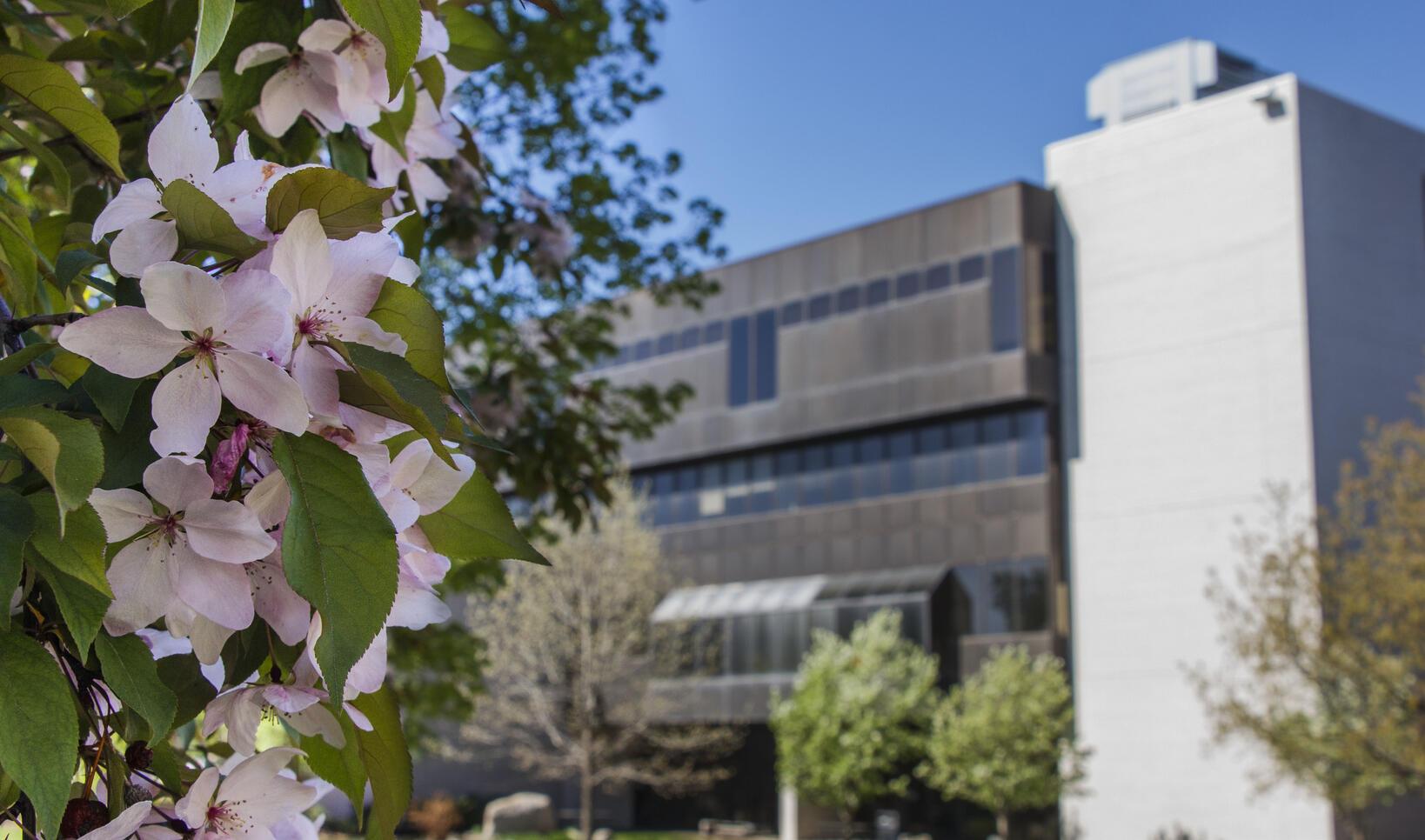 view of MCAD in the spring