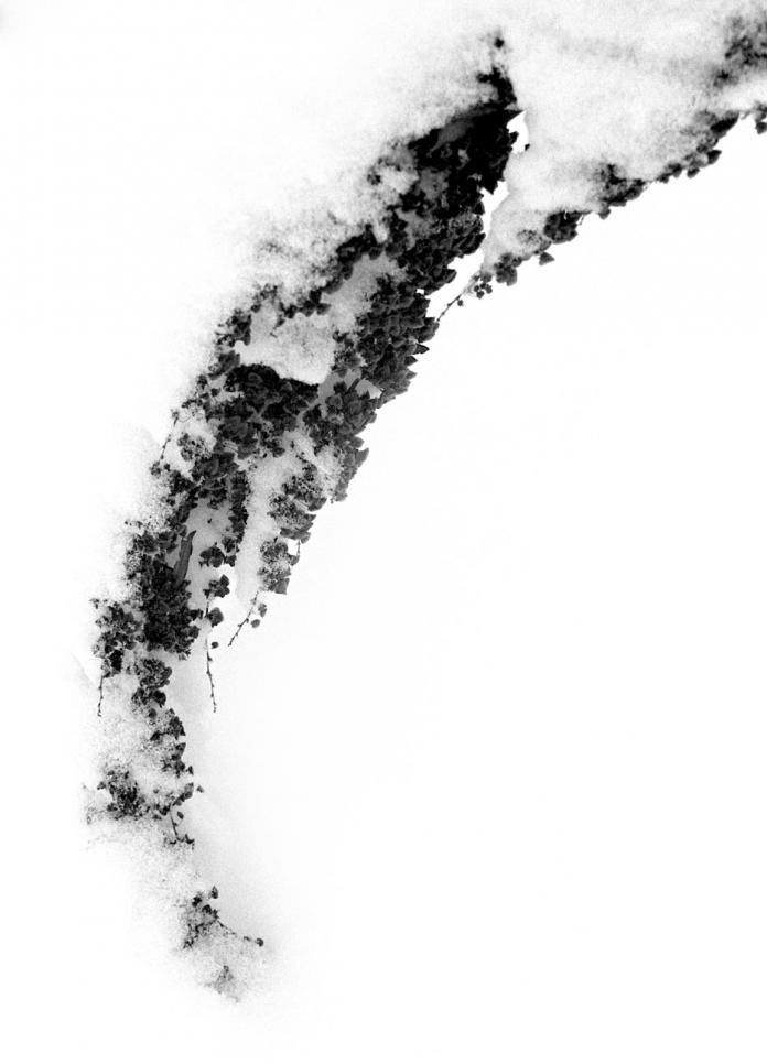 High contrast abstract scan photography. ; Lina Barengolts