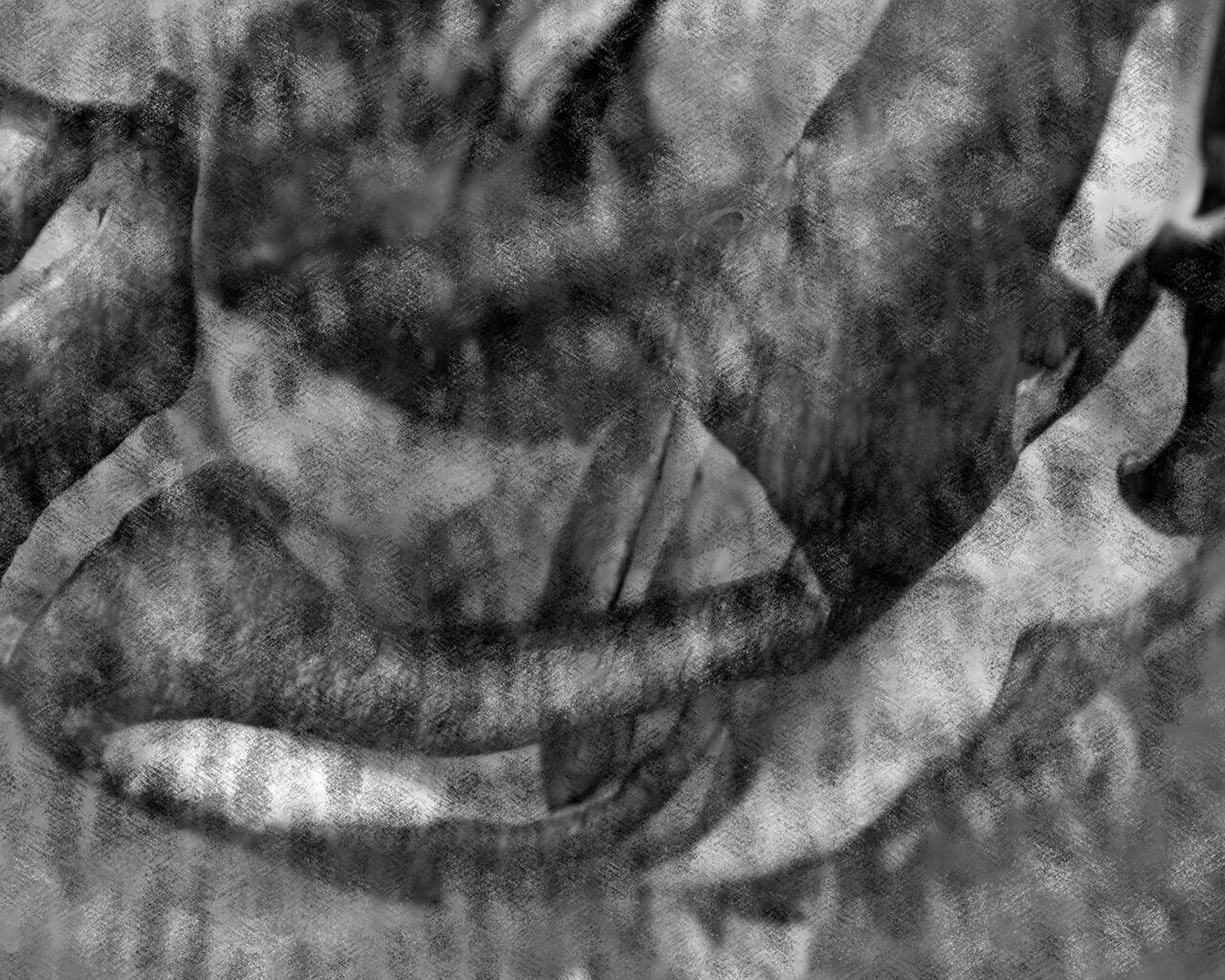 Grayscale photograph of a "smashed pumpkin."