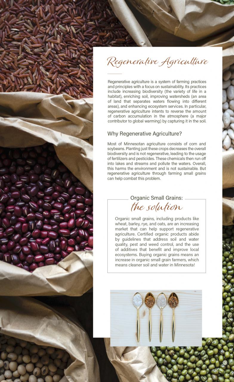 Client Poster