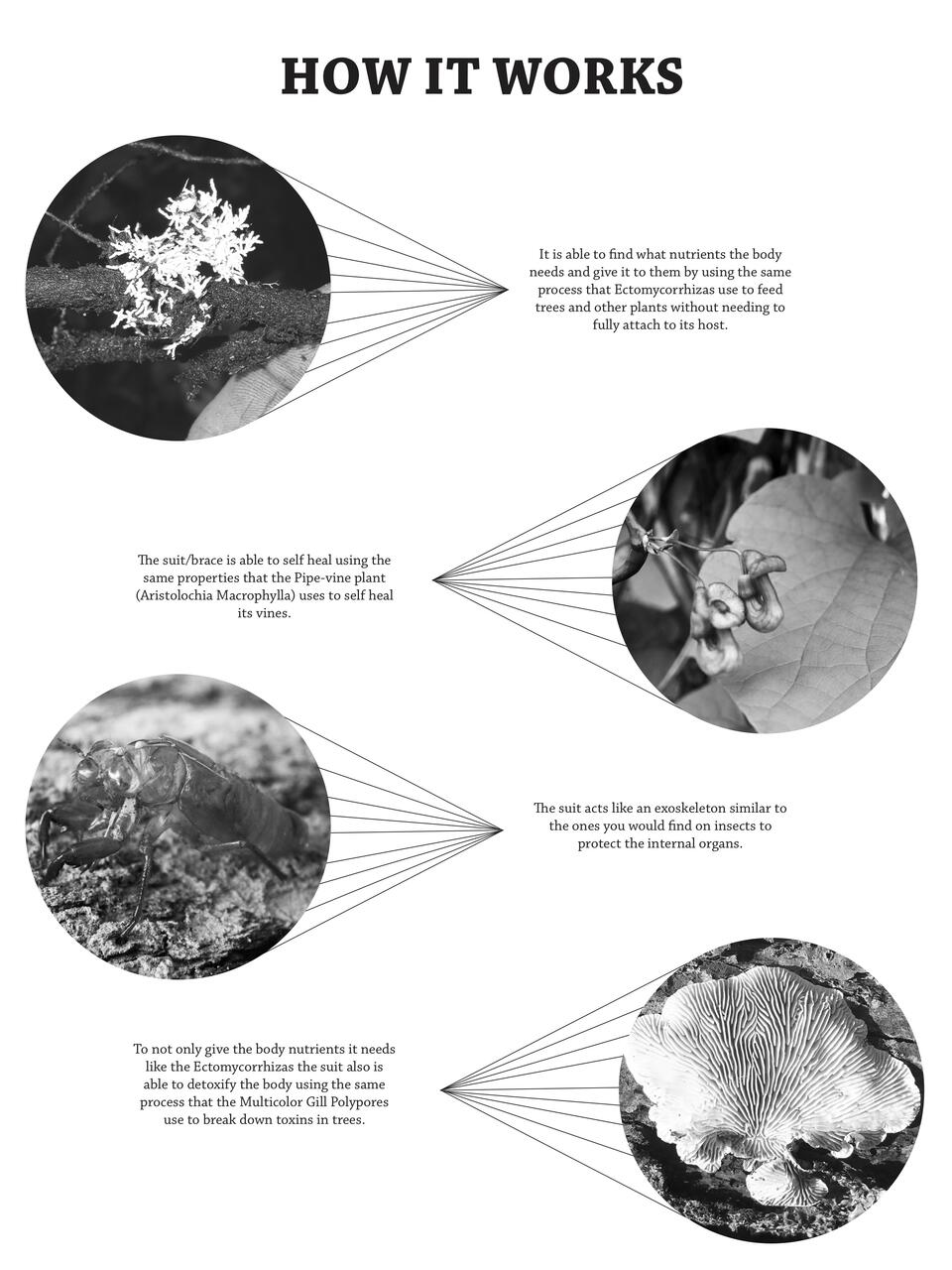 Infographic poster