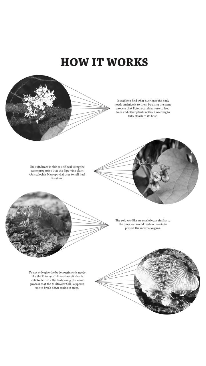 Infographic poster