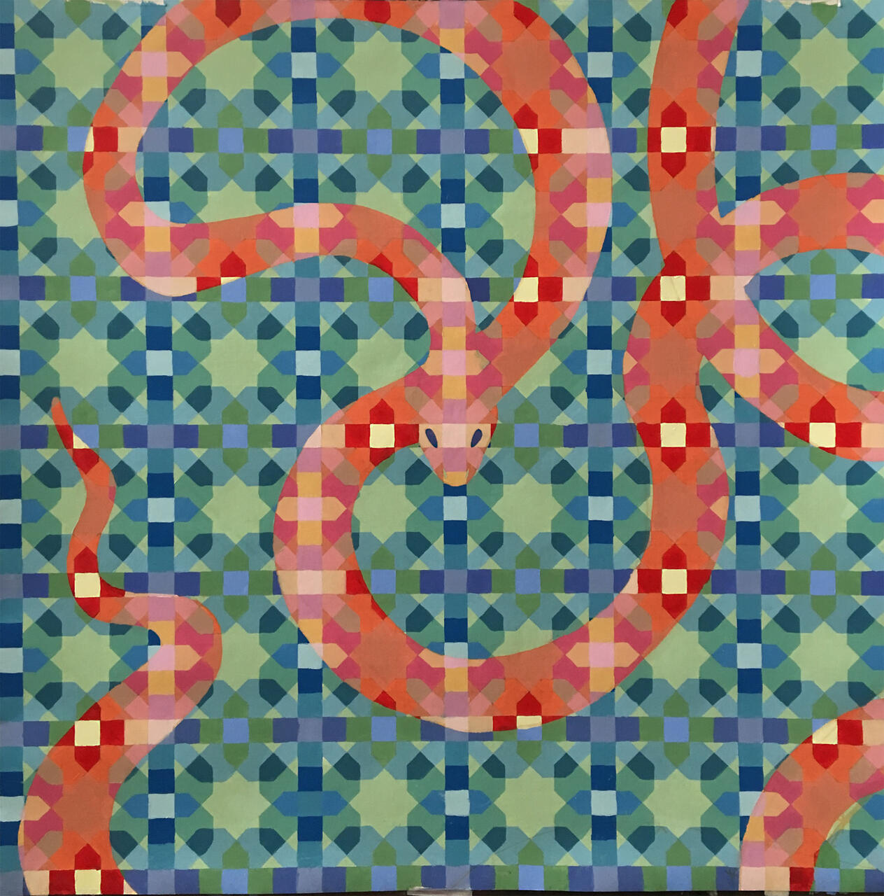 Color pattern study of snake
