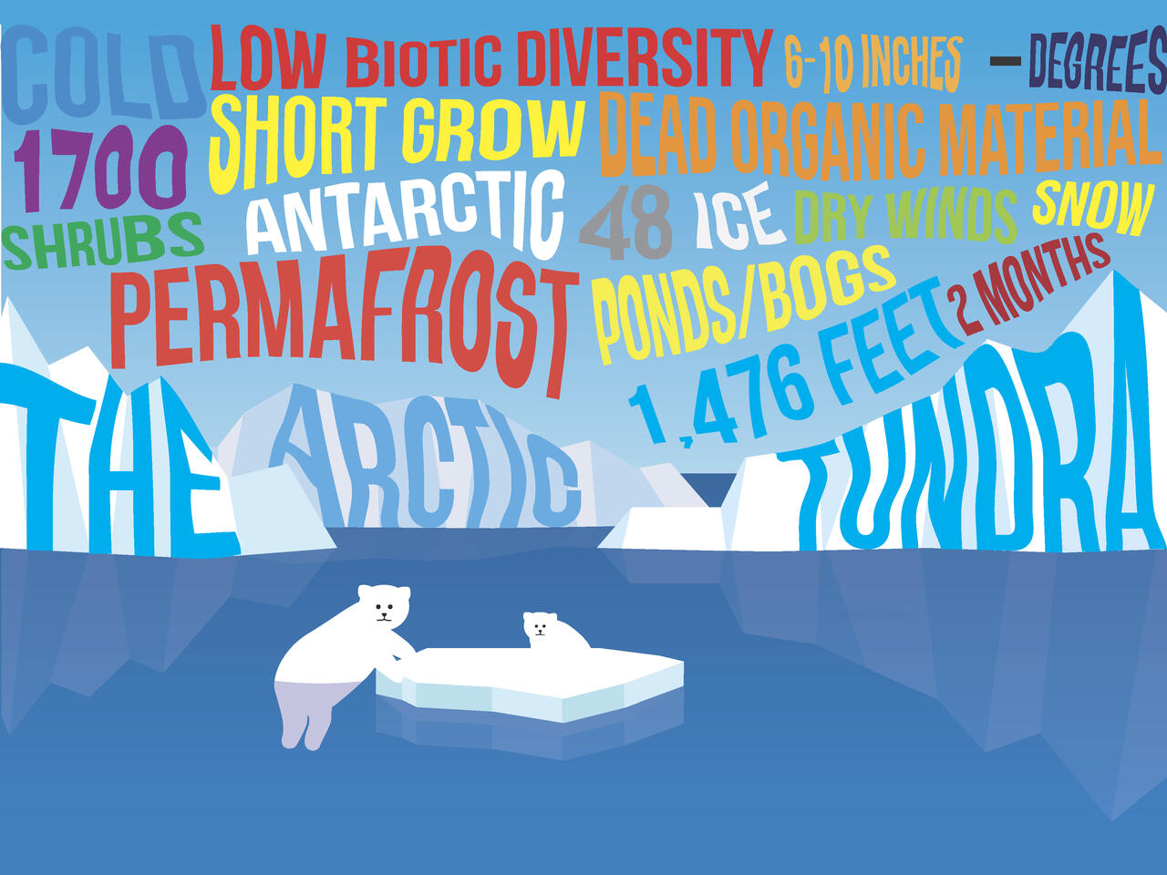 An informative typography poster featuring descriptive words for the Arctic Tundra and two polar bears.
