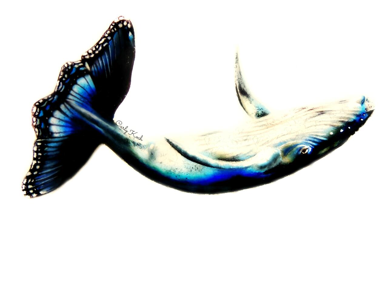 A colorful drawing of an imagined whale morphing into a butterfly.