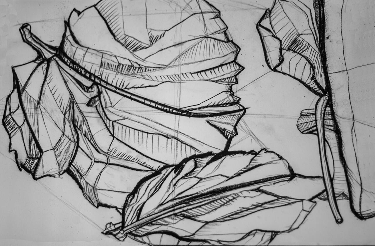 Charcoal drawing utilizing construction lines and hatching technique. 