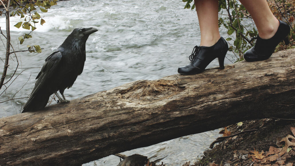 A photograph of a crow and the heels of a person on a log near a river