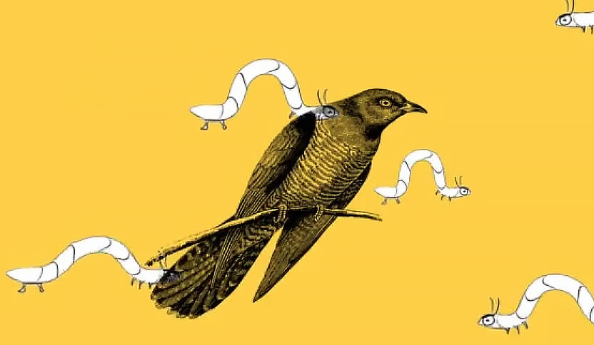 Still image featuring a bird and worms from "Sound Sync" animation. 