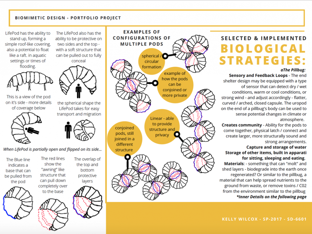 Biological strategies graphic by Kelly Wilcox