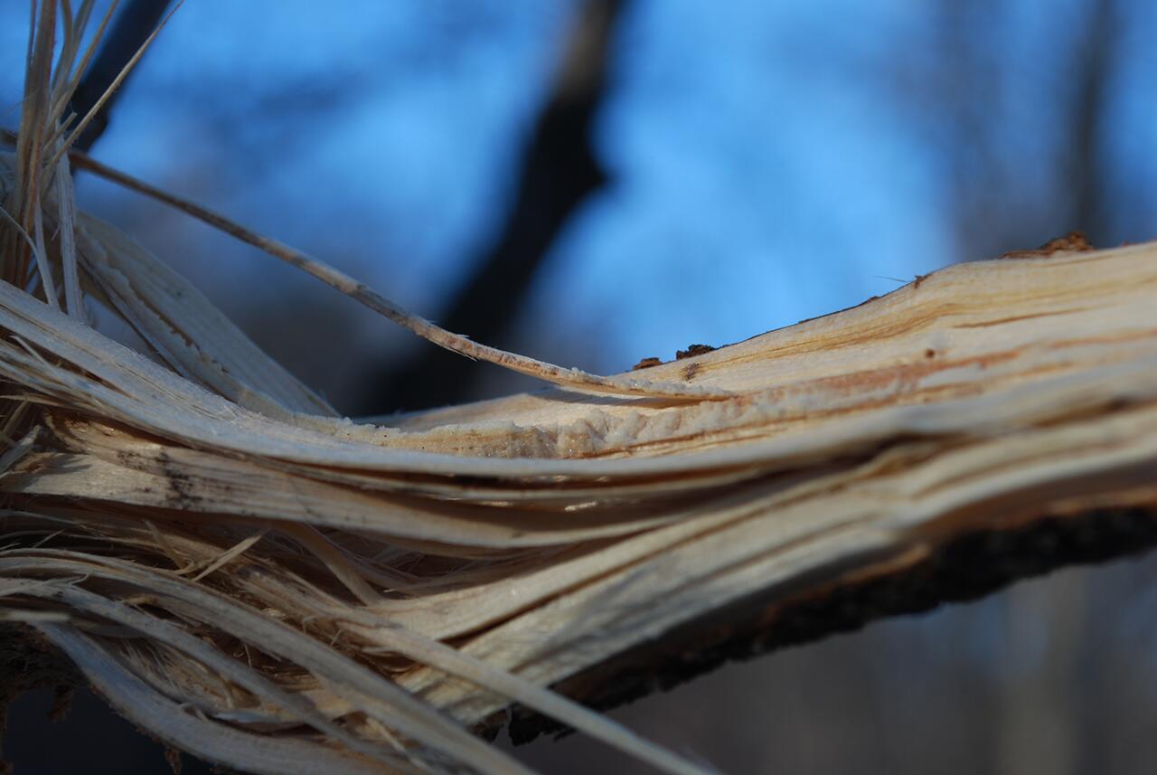 Various close up wintery shots with a common thread of dominating blue shades.