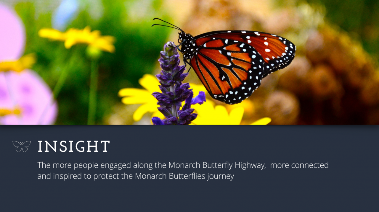 Presentation for "The Monarch Butterfly Highway."