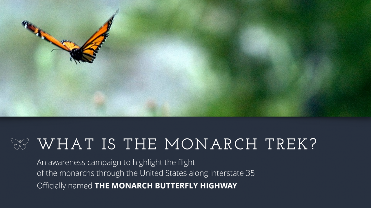 Presentation for "The Monarch Butterfly Highway."