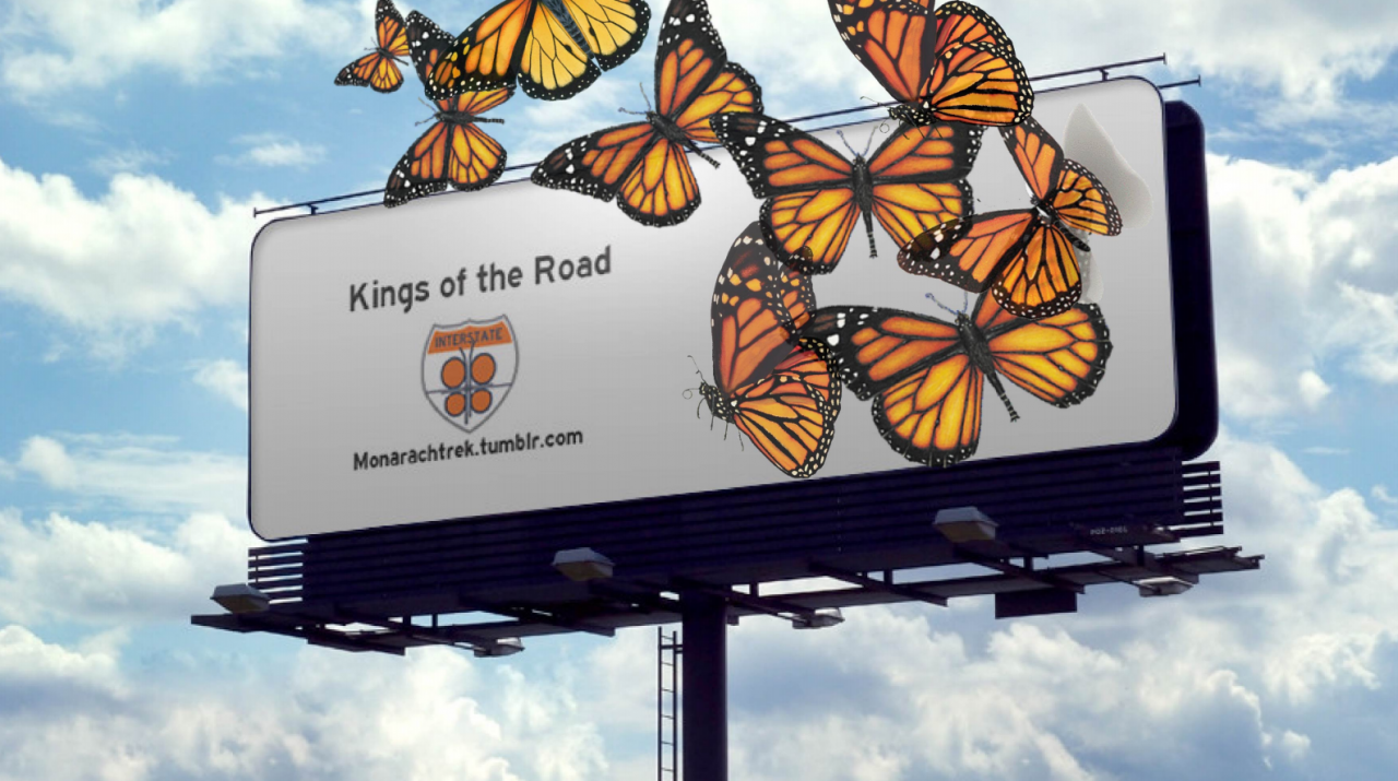 Presentation for "The Monarch Butterfly Highway."