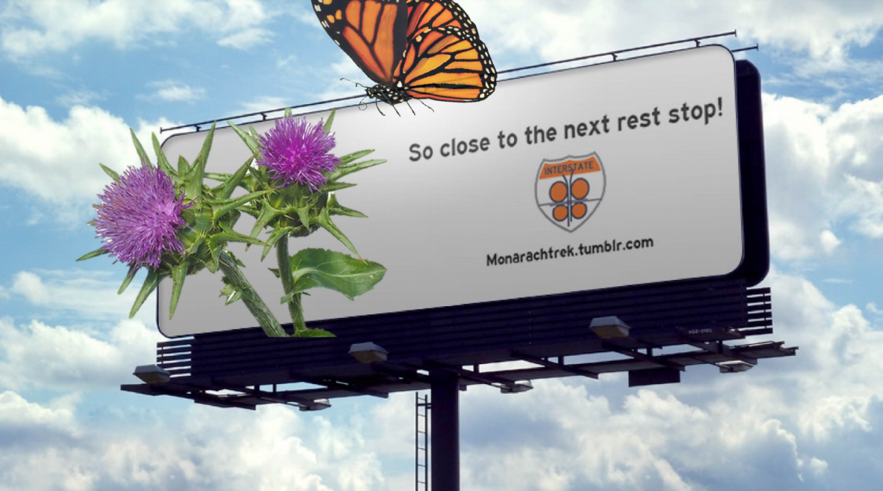 Presentation for "The Monarch Butterfly Highway."