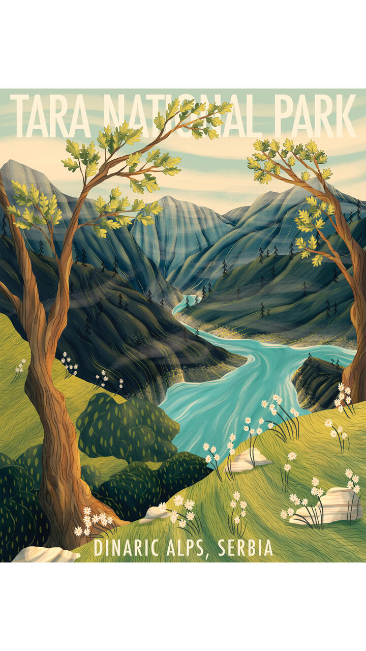Tara National Park Illustration by Michayla Grbich