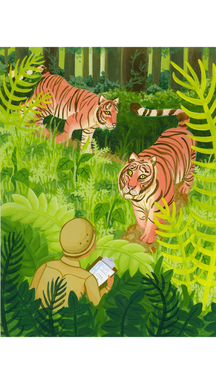 Zoologist illustration by Molly Posten
