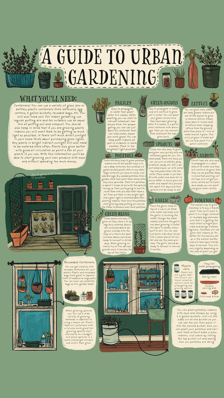 Guide to Urban Gardening by Alex Reames