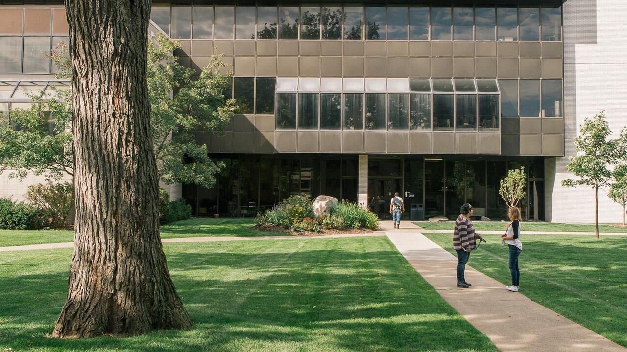MCAD Lawn, Fall