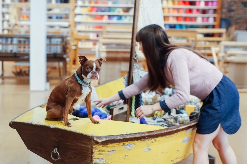 Cleo Malone with dog at Castaway Yarn Shop.